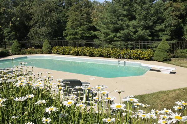 Pool Deck Leveling in Brandon