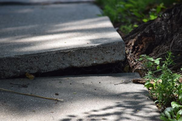 Sidewalk Leveling in Brandon